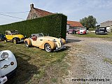 Zandlemig Vlaanderen